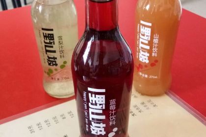 酸菜豆角肉丝饸饹(东关店)