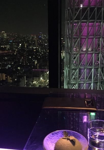 Sky Lounge Top Of Tree