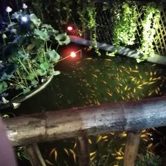 Laozihaonongjiayan User Photo