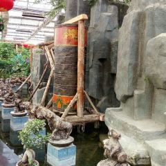 白云生态园 User Photo