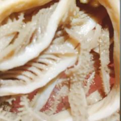 Shuchengxiangzilaochengdou Hot Pot (kongjiang) User Photo