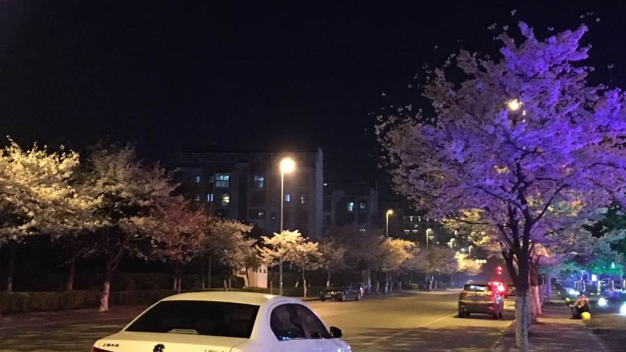 豪客來牛排（梅園店）