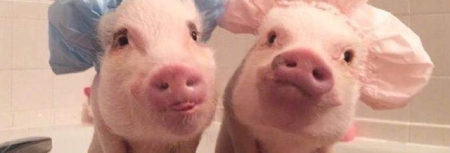 德克士(瀘州汽車站店)