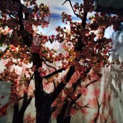 樱之海日本料理(1912店) User Photo