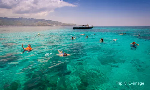 Diving in Lombok
