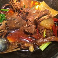 丑小鸭 User Photo