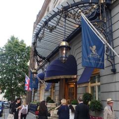 The Palm Court User Photo