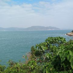 布袋澳海鮮島 User Photo