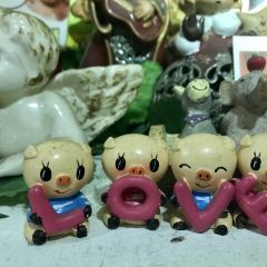 sweet life User Photo