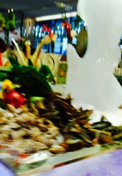 BO RUI CI JIU DIAN JIA LAN XI CAN TING