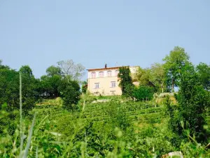 Ristorante dell'Agriturismo di Ca' Isotta
