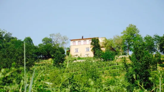 Ristorante dell'Agriturismo di Ca' Isotta