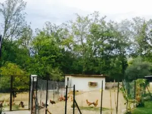 Agriturismo Tenuta Il Laureto