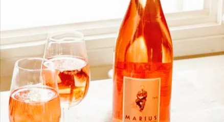 Wine bar M. Chapoutier