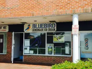 Bluebird NY