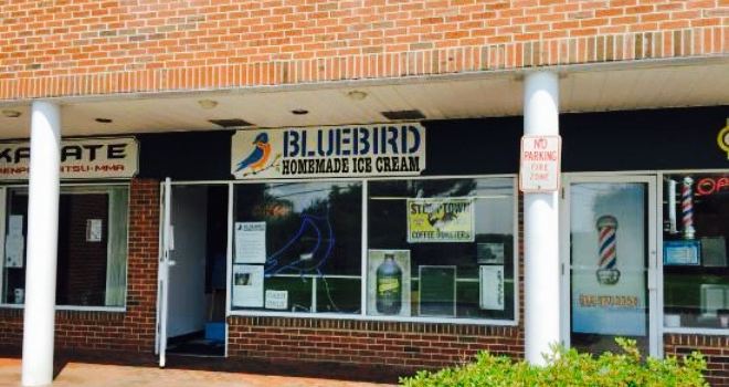 Bluebird NY
