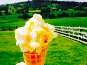 Otter Valley Ice Cream & Field Kitchen