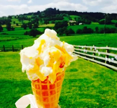 Otter Valley Ice Cream & Field Kitchen