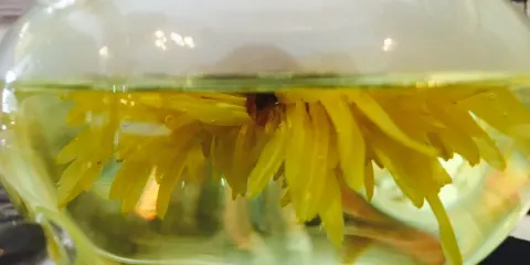 Simply Java Coffee Lounge