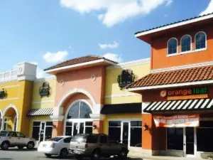 Orange Leaf Frozen Yogurt