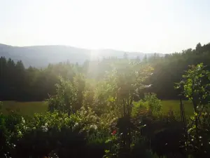 Berggasthof Zottling