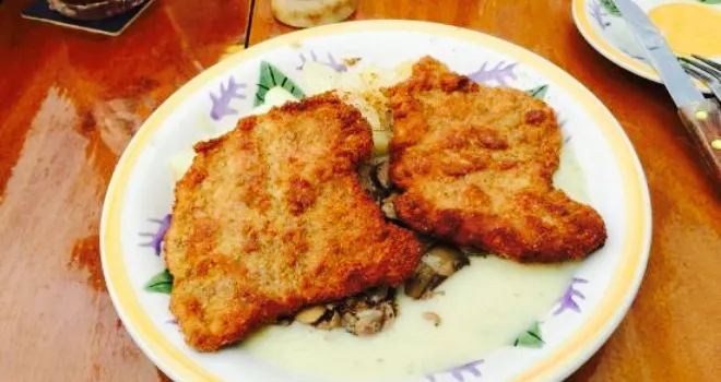 Schnitzel House