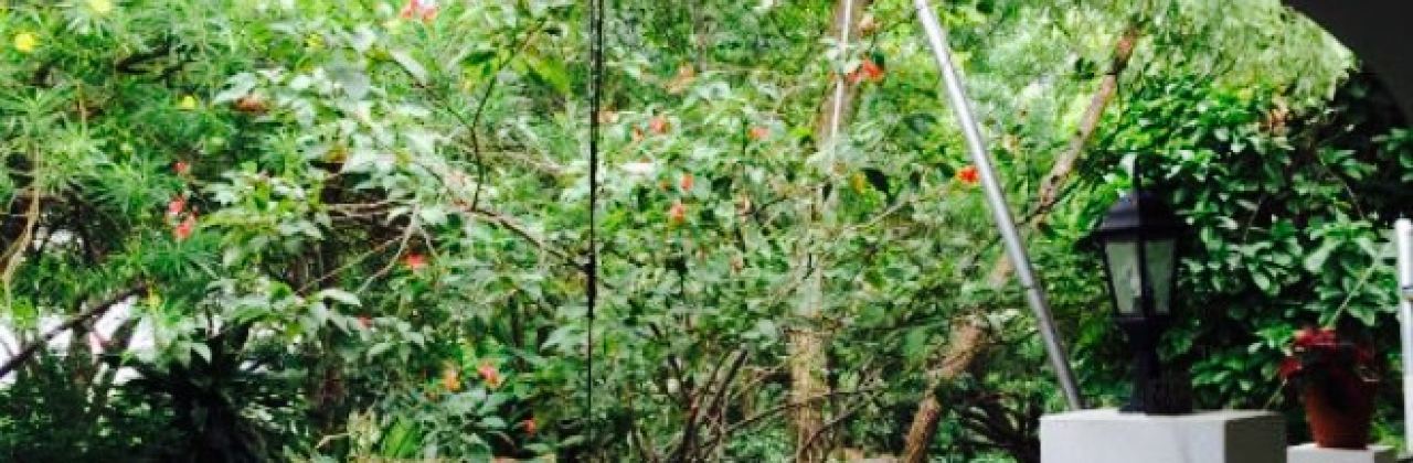 Silver Orange Bistro