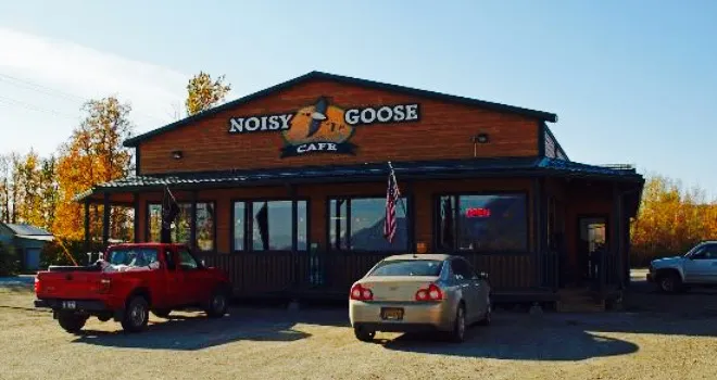 The Noisy Goose
