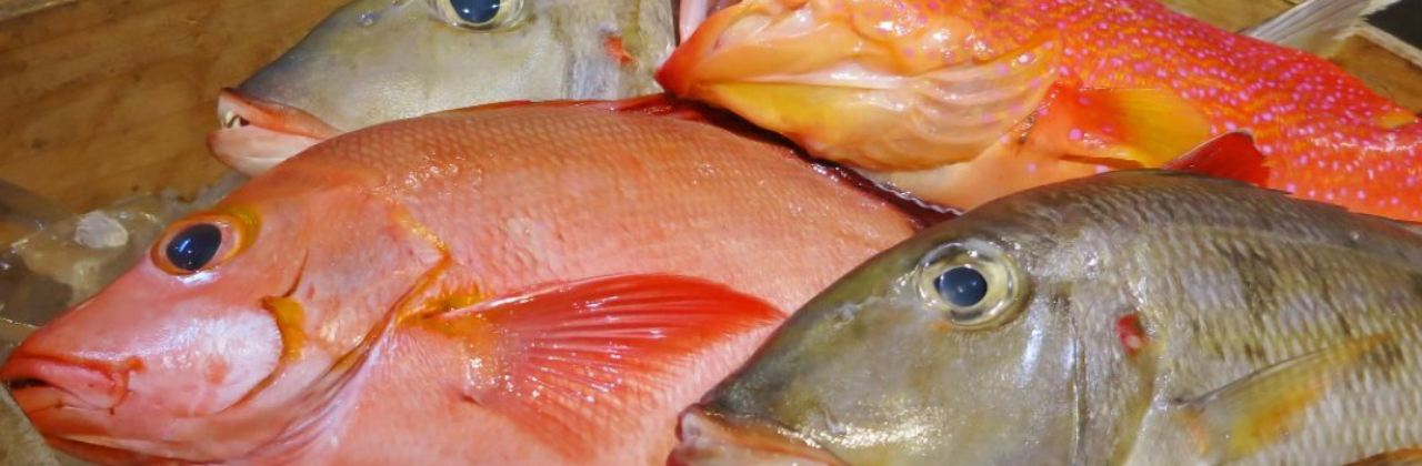 Sumibikushiyakiya Natsuya