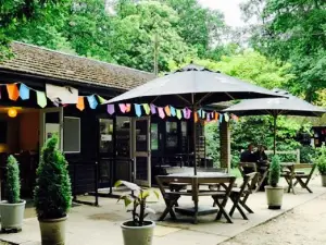Arbor Tea Room