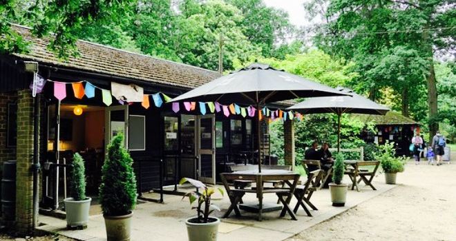 Arbor Tea Room