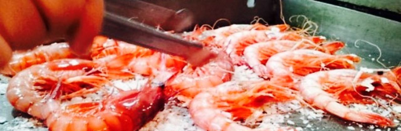 Restaurante Casa Jose Obelix