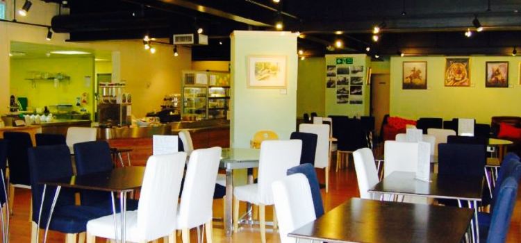 Bridge View Cafe