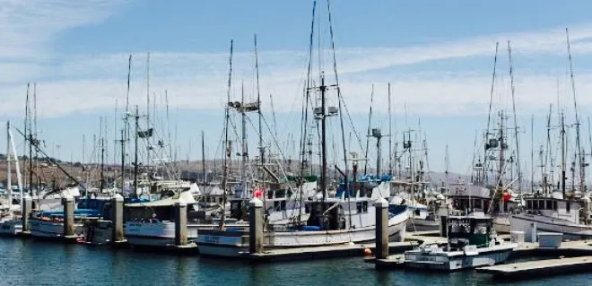 Spud Point Crab Company