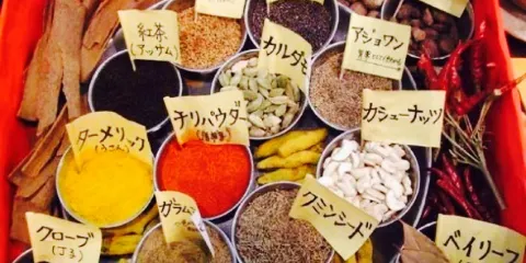 Moja Curry Himejieki