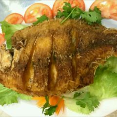Thiet 168張用戶圖片
