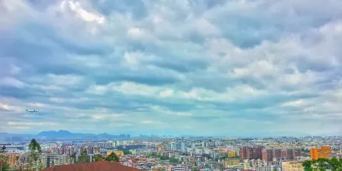 海雲軒時尚果飲