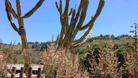 Big Sur Bakery & Restaurant