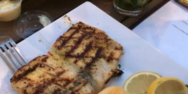 Yucatan Beach Stand Bar & Grill