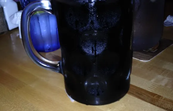 49th State Brewing - Denali Park