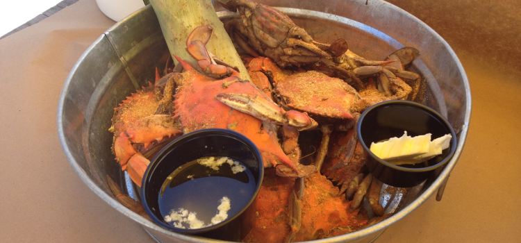 OC Steamers