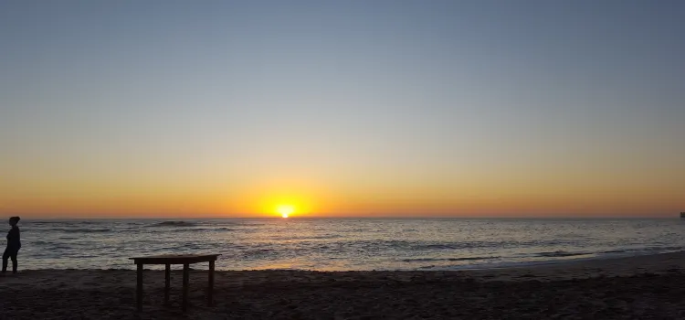 Tiger Reef Beach Bar & Grill