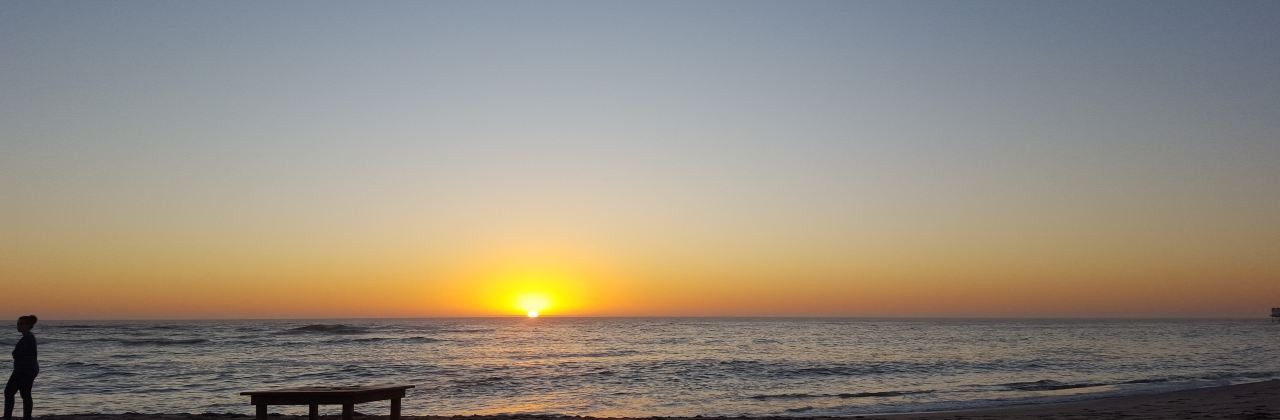 Tiger Reef Beach Bar & Grill