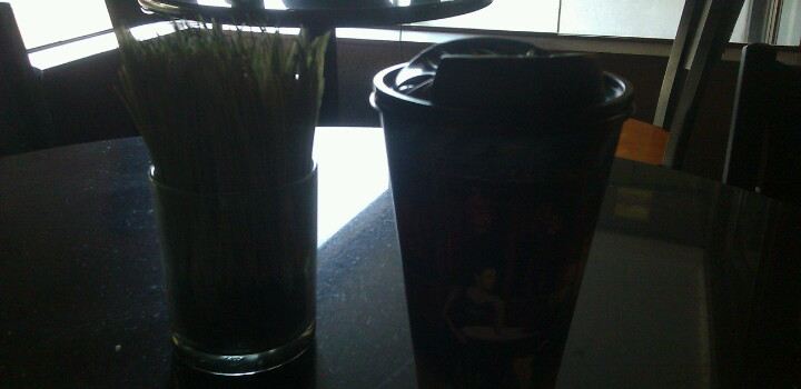 Perks Coffee Shop