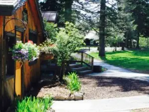 Crooked Tree Tavern & Grill