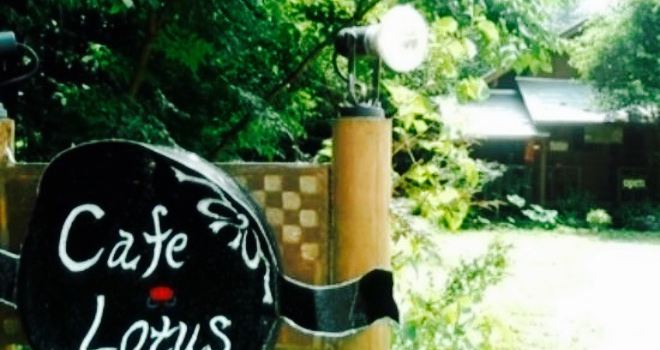 Cafe Lotus