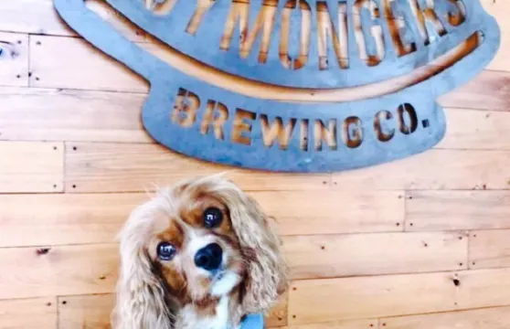 Joymongers Brewing Co.