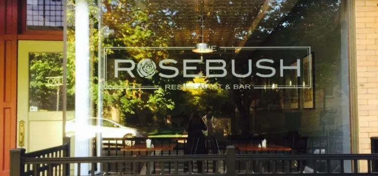 The Rosebush