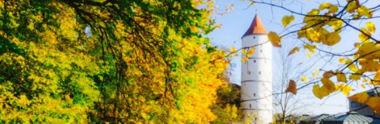 Pflugkeller Biberach