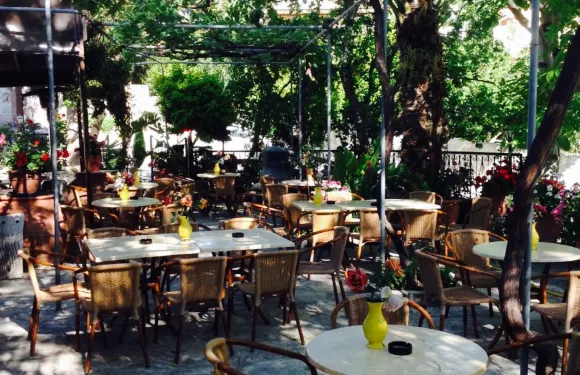 Karydia The Walnut Tree